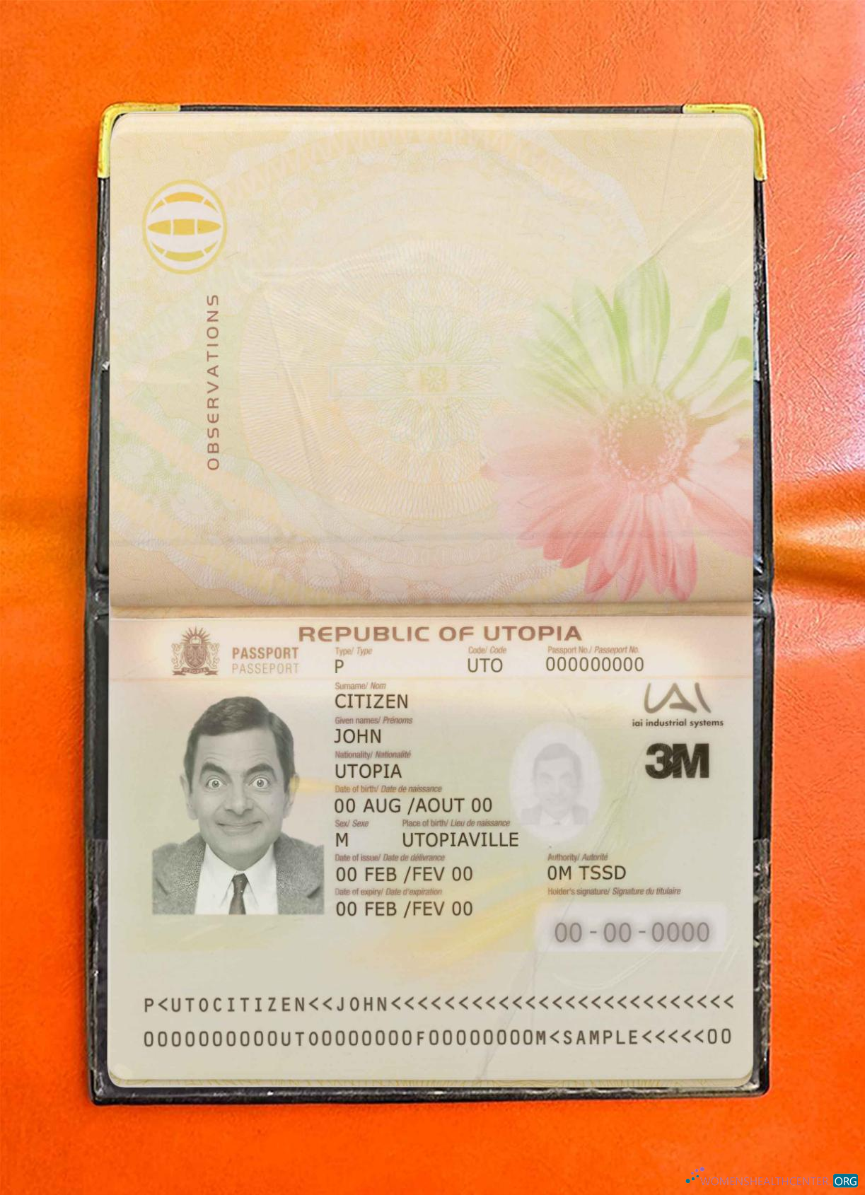 Download Utopia pass photo look Photoshop template